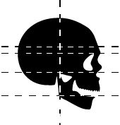 ganzheitliche-zahnmedizin